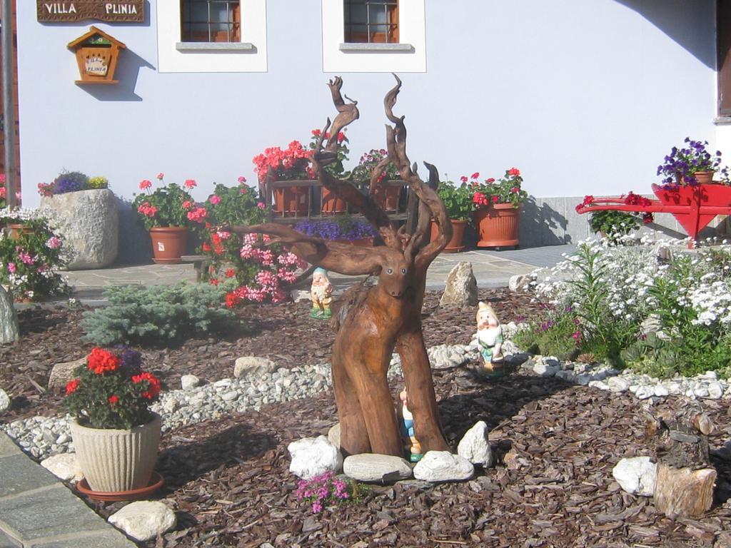 Hotel Villa Plinia Pragelato Bagian luar foto