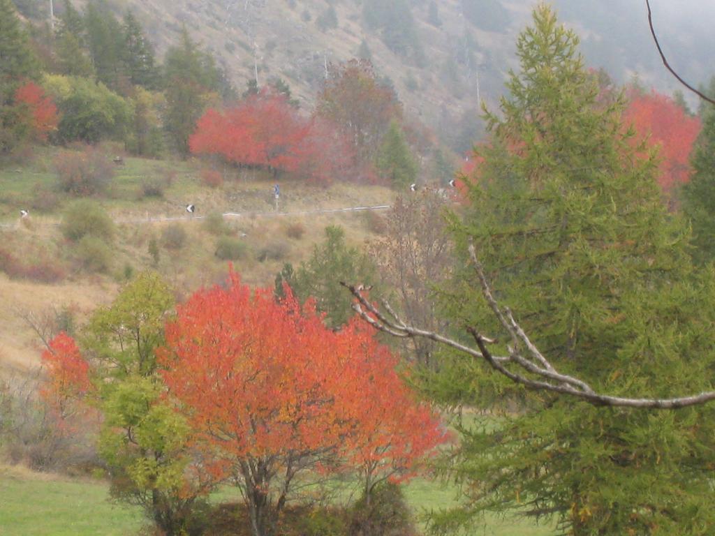 Hotel Villa Plinia Pragelato Bagian luar foto